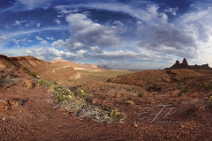 Desert View II