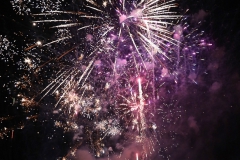 Pink Celebration