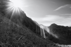 Mist in the Sun