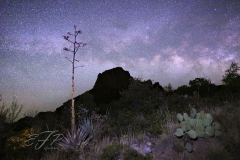 Desert Milky Way