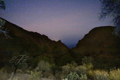 Desert Stars